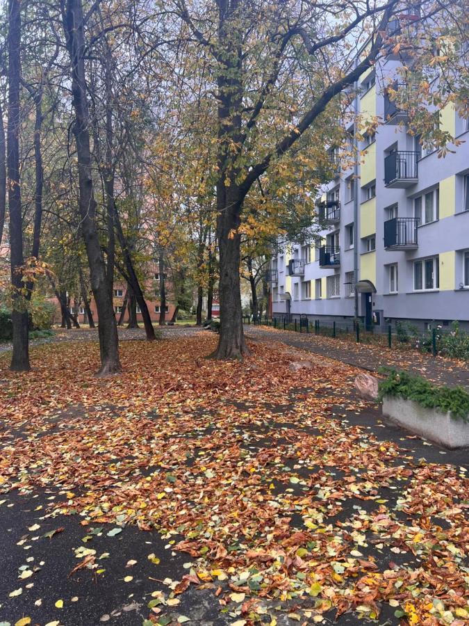 Yellow Apartment Airport Galeria Mokotow Netflix Varsó Kültér fotó